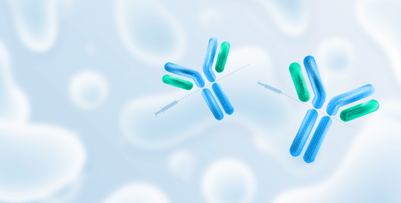 Recombinant IgG Cleaving Enzyme